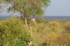 Kenya