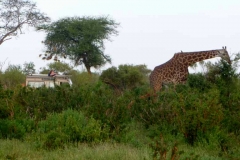 Kenya