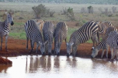 Kenya