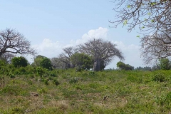 Kenya