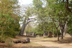 Kenya