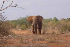 Kenya