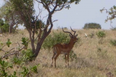 Kenya
