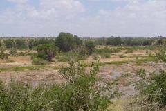 Kenya