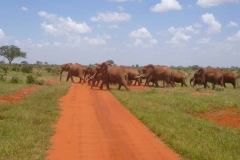 Kenya