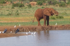 Kenya
