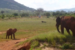 Kenya