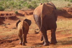 Kenya
