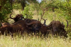 Kenya