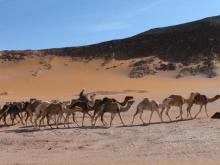 Libia