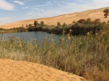 Libia