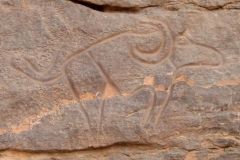 Libia