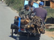 Madagascar 2018