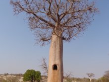 Madagascar 2018