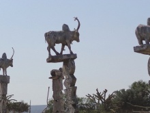 Madagascar 2018