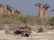 Madagascar 2018