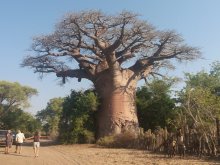 Madagascar 2018