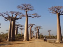 Madagascar 2018