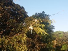 Madagascar 2018