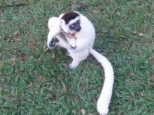 Madagascar 2018