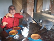 Madagascar 2018