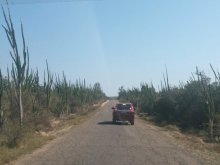 Madagascar 2018