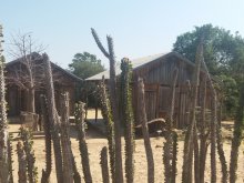 Madagascar 2018
