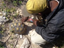 Madagascar 2018
