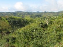 Madagascar