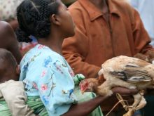Madagascar