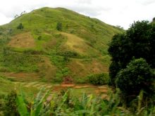 Madagascar