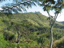 Madagascar
