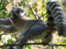 Madagascar