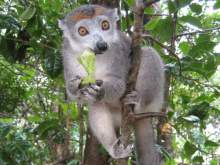 Madagascar
