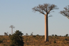 Madagascar