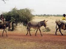Mali
