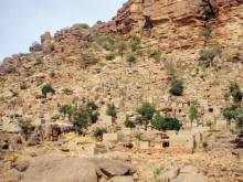 Mali