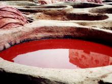 Marocco