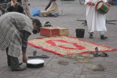 Marocco