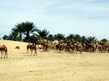 Mauritania