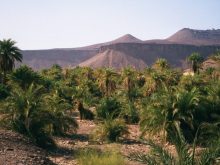 Mauritania