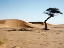 Mauritania