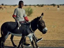 Mauritania