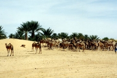 Mauritania