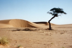 Mauritania