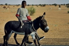 Mauritania