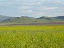 Mongolia