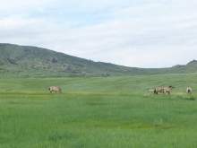 Mongolia