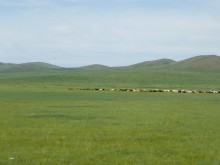 Mongolia
