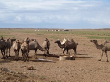 Mongolia